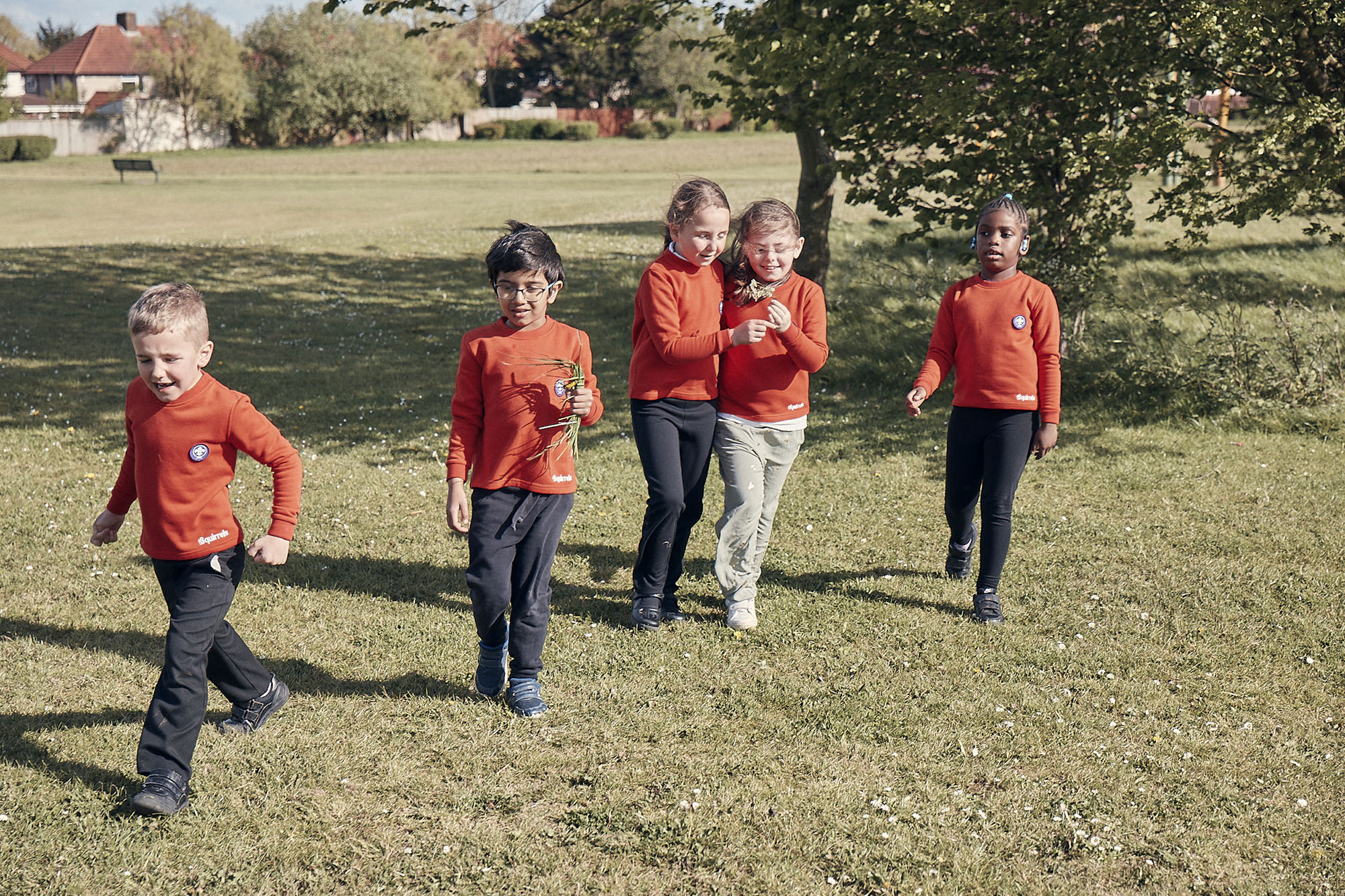 Squirrels in a field running